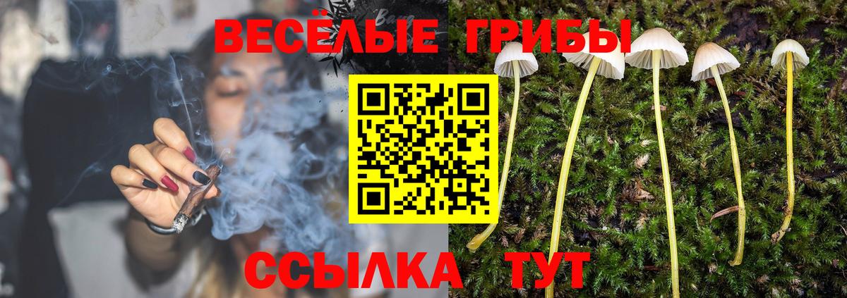 Галлюциногенные грибы прущие грибы Краснодар