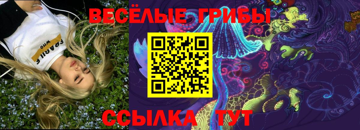 Псилоцибиновые грибы Краснодар